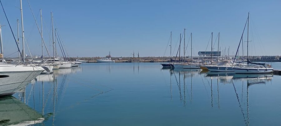 From Bucharest: Black Sea Constanța Day Tour - The Genoese Lighthouse and the working port