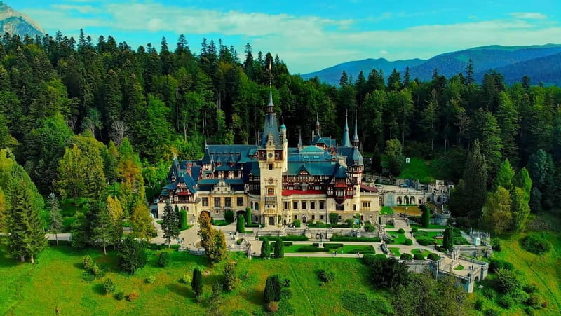 From Bucharest: Bran, Peles Castle & Brasov Private Day Tour - The road from Bucharest into the Carpathians