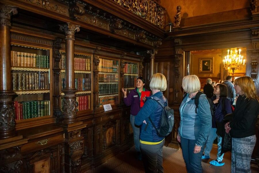 From Bucharest: Brasov Peles & Dracula's Castle Day Tour - Brasov: the best place to slow down