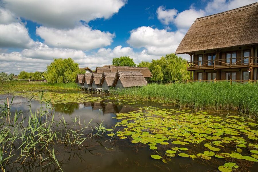 From Bucharest: Day Trip to Danube Delta - Key details before you book