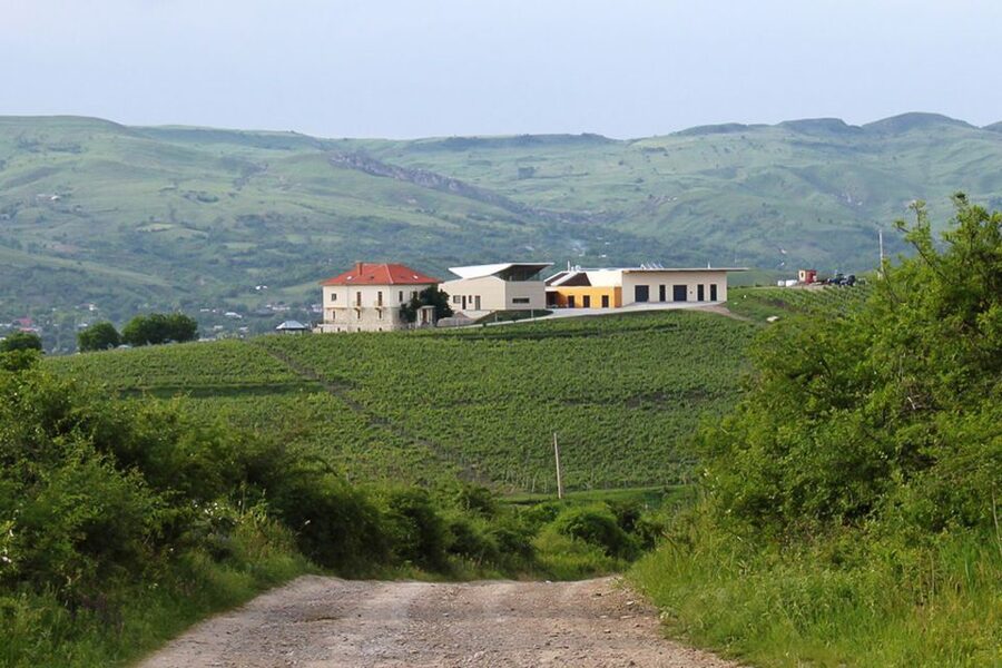 From Bucharest: Exclusive Dealu Mare Wine Tasting Tour - Why Dealu Mare makes a good day trip from Bucharest