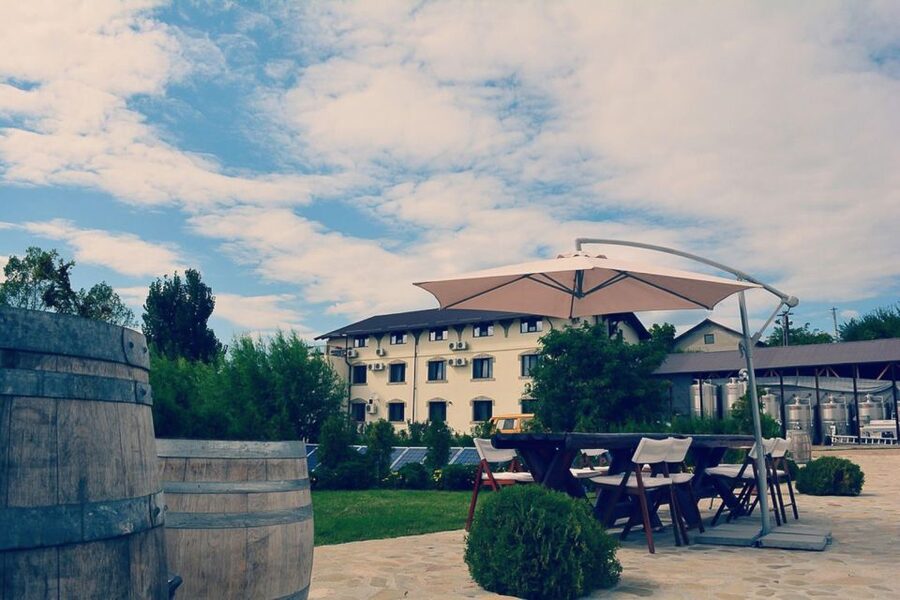 From Bucharest: Exclusive Dealu Mare Wine Tasting Tour - Lunch breaks up the tasting schedule