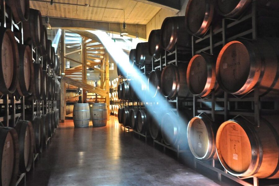 From Bucharest: Exclusive Dealu Mare Wine Tasting Tour - The guides add more than directions