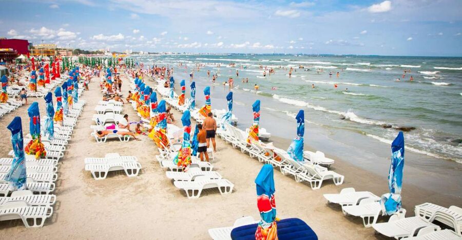 From Bucharest: Full-Day History, Sun & Fun at the Black Sea - The early drive through Dobrogea vineyards
