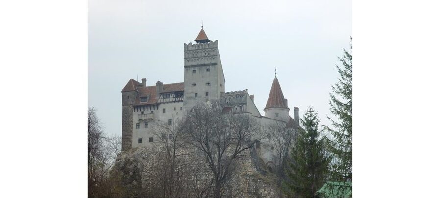 From Bucharest: Full-Day Private Dracula Tour - Transport, timing, and comfort