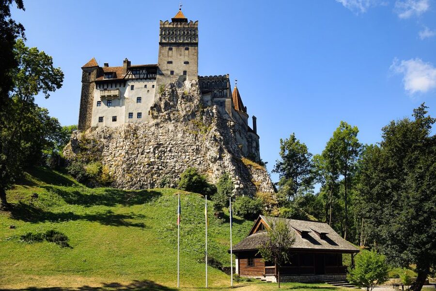 From Bucharest: Libearty Bear Sanctuary and Dracula's Castle - Why this day trip works from Bucharest