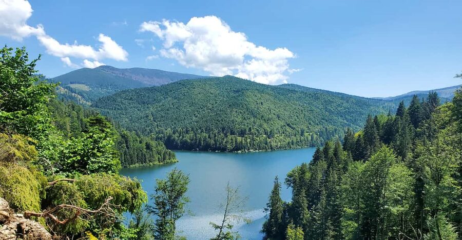 From Cluj: Mountain Bike around Lake Dragan - What this Lake Dragan ride is really like
