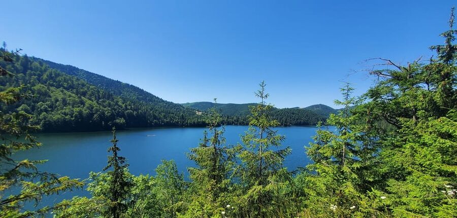 From Cluj: Mountain Bike around Lake Dragan - Shoreline views with Vladeasa in the distance