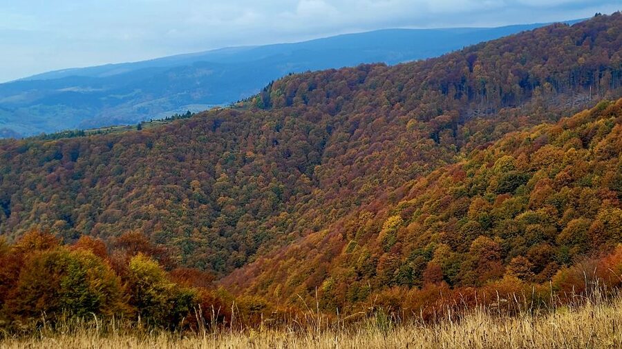 From Cluj-Napoca: Apuseni Mountains Hiking Guided Day Tour - The view from Scarita Peak