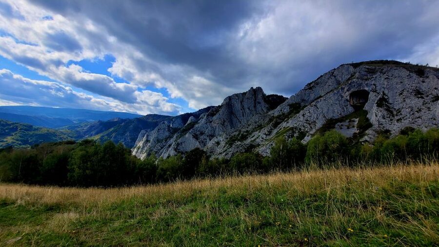 From Cluj-Napoca: Apuseni Mountains Hiking Guided Day Tour - Plants, fungi, butterflies, and glacial survivors