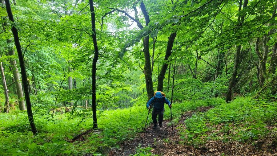 From Cluj-Napoca: Apuseni Mountains Hiking Guided Day Tour - How the guiding affects the experience
