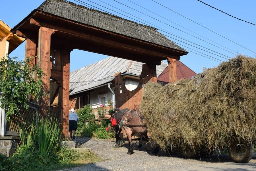 From Cluj-Napoca: Maramures Day Tour - The second UNESCO church: Desesti or Budesti
