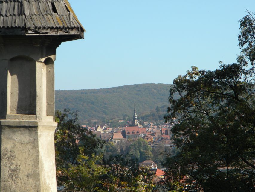 From Cluj: Sighișoara and Church of Biertan Guided Tour - The short ride to Biertan