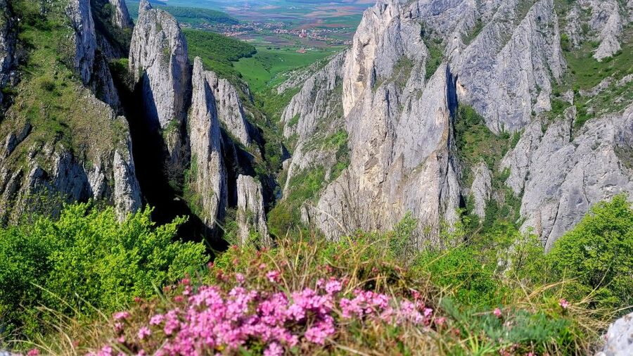 From Cluj: Turda Salt Mine, Gorge, and Remetea Full-Day Trip - The Monastery of Holy Archangels