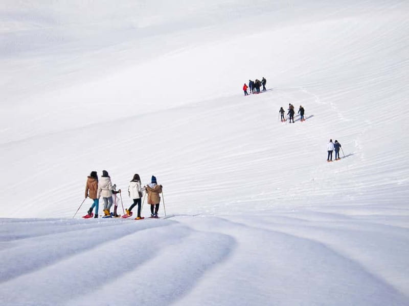From Cluj: Winter Walking Trip on the Great Mountain - Three hours among forests and snow