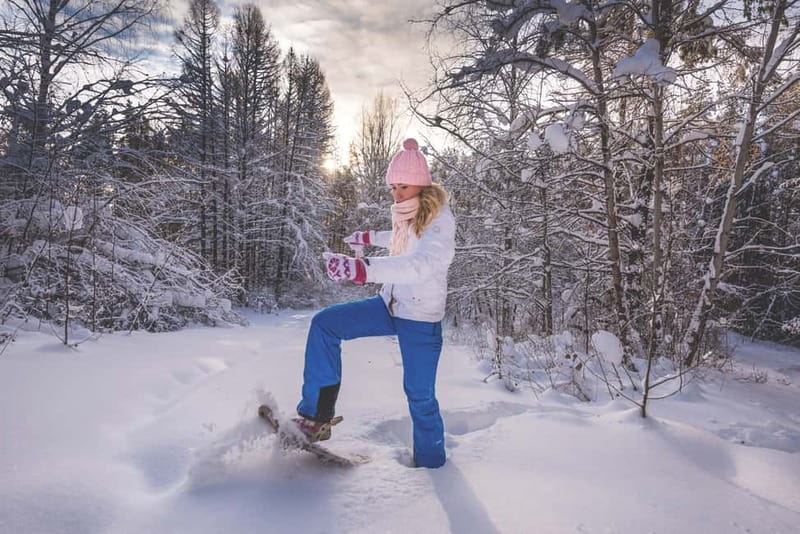 From Cluj: Winter Walking Trip on the Great Mountain - Who should book this winter walk?