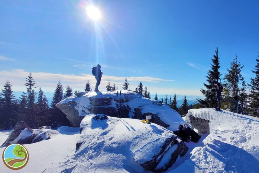 From Cluj: Winter Walking Trip on the Great Mountain - Winter clothing and footwear advice