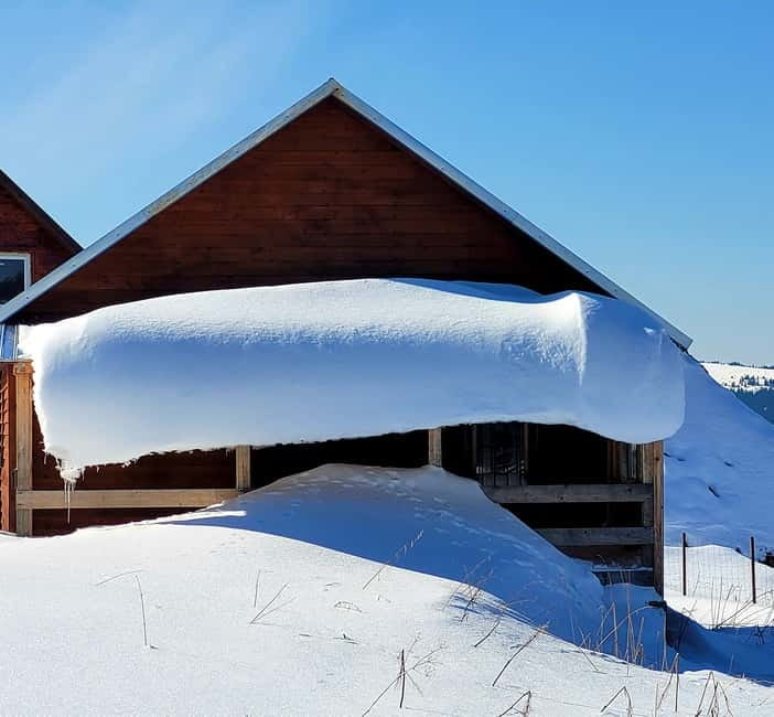 From Cluj: Winter Walking Trip on the Great Mountain - Cancellation and booking flexibility