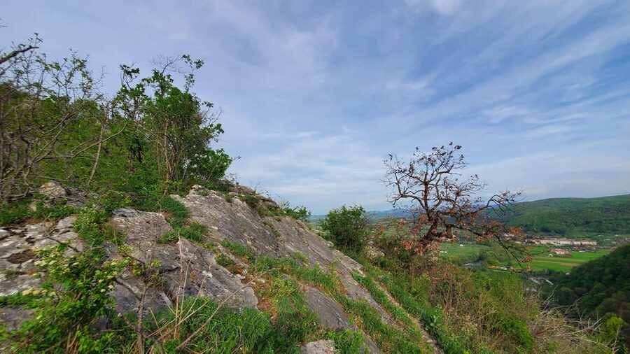 From Oradea: Gorges of Crisul Repede River - Who should book this hike?