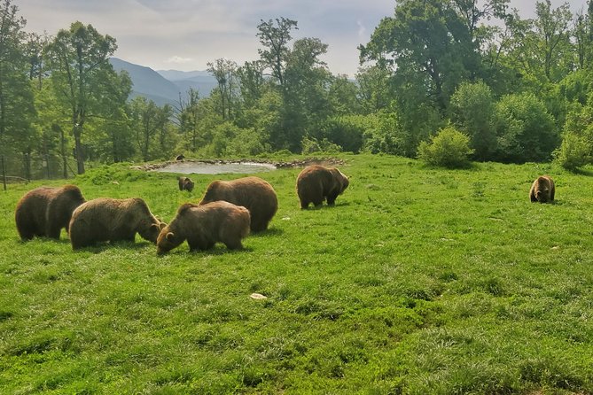 Golden Circle of Transylvania - My call: a strong choice for an active first visit