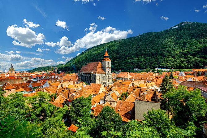 Guided Tour to Dracula Castle, Peles Castle and Brasov - Who will enjoy this tour most
