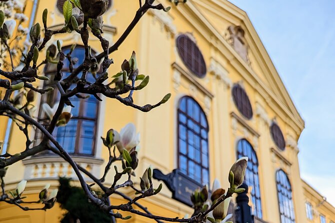 Half-Day Private Food and Wine Walking Tour Oradea Romania - How the Oradea food walk works