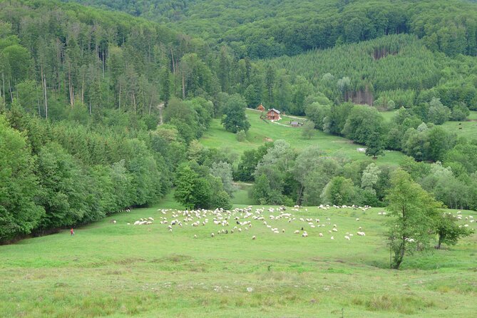 Half Day Tour to Bucovina Painted Monasteries - What the $59.57 price really buys you