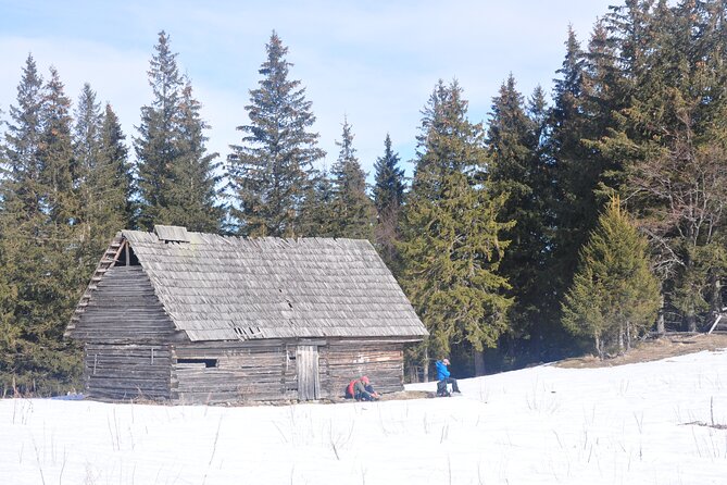 Hike in the Wild Private Photo Tour - Leaving Brasov for the Taga Mountains