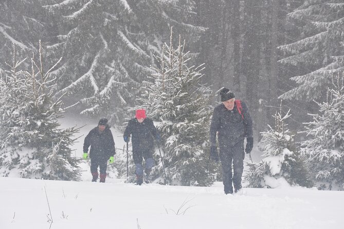 Hike in the Wild Private Photo Tour - Winter brings tracks instead of flowers