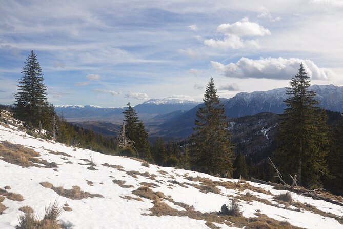 Hike in the Wild Private Photo Tour - Who will enjoy this hike most?