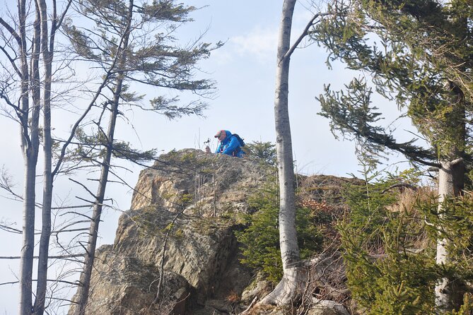 Hike in the Wild Private Photo Tour - Seven hours among unmarked forest roads