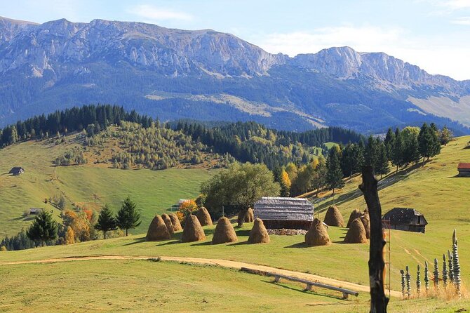 Hiking thought the best mountain villages in Romania-Private tour from Brasov - What the private guide adds