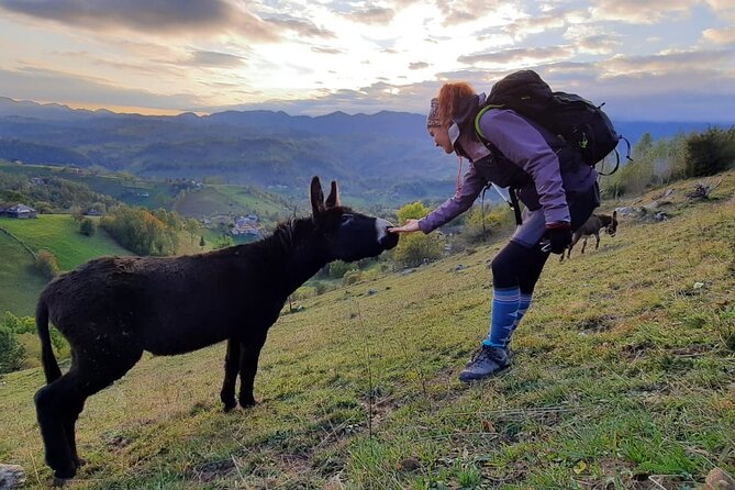 Hiking thought the best mountain villages in Romania-Private tour from Brasov - Fitness, weather, and what to bring