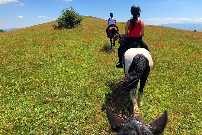 Horseback Riding Tour In Brasov - Ride Through Fields, Forests & Hills - Meeting the horses beyond the trail