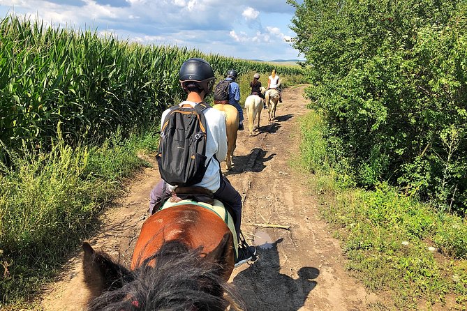 Horseback Riding Tour In Brasov - Ride Through Fields, Forests & Hills - Who will enjoy this Brasov horse ride?
