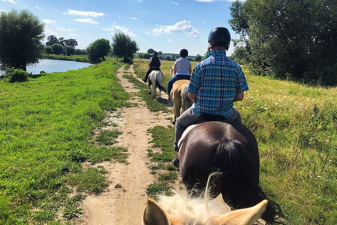 Horseback Riding Tour In Brasov - Ride Through Fields, Forests & Hills - One hour through fields, forests, and hills