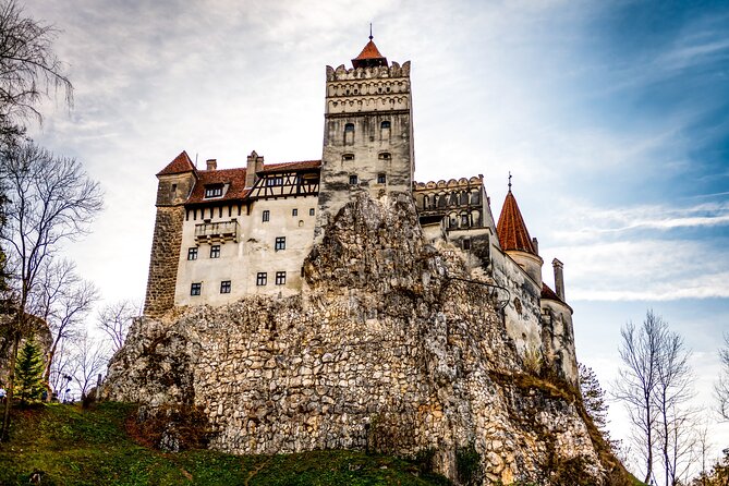 Legends&Wildlife Awaits: Dracula's Castle & Bear Sanctuary - Why pair bears with Bran Castle?
