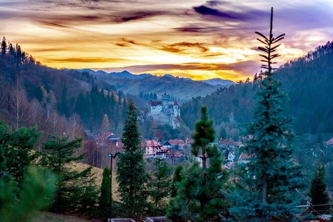 Legends&Wildlife Awaits: Dracula's Castle & Bear Sanctuary - What makes the sanctuary worth your time