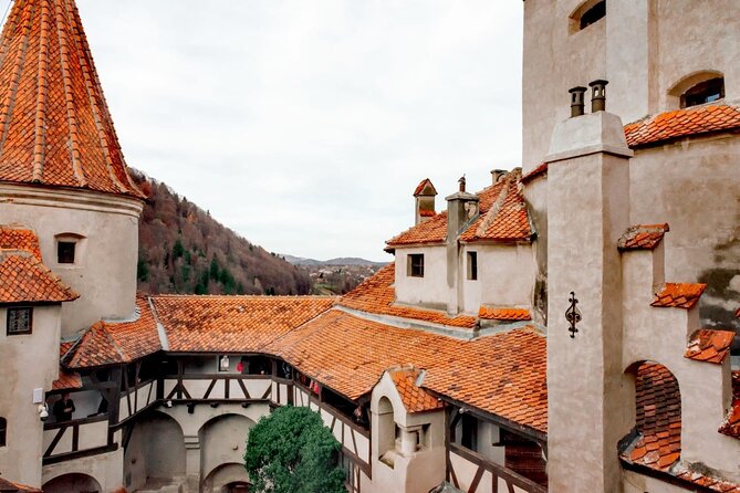 Legends&Wildlife Awaits: Dracula's Castle & Bear Sanctuary - Bran Castle: Dracula, Vlad, and the real fortress