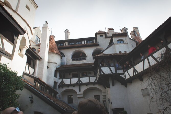 Legends&Wildlife Awaits: Dracula's Castle & Bear Sanctuary - The guide and small-group experience