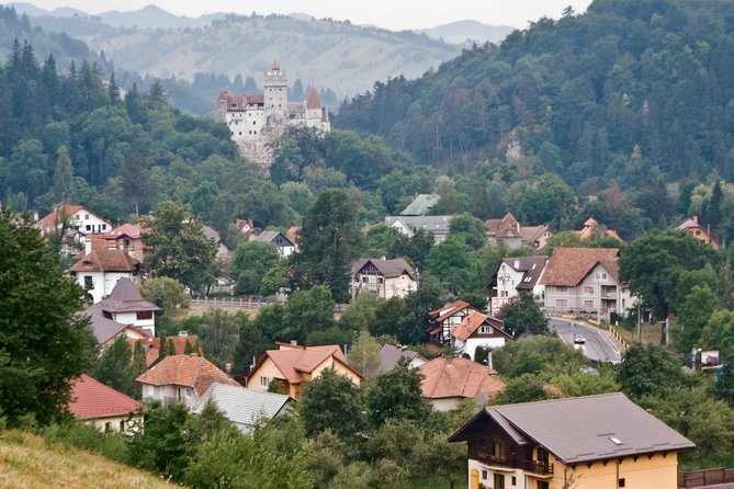 Libearty Bear Sanctuary and Dracula's Castle - Day Tour from Bucharest - The one-hour ride to Bran Castle