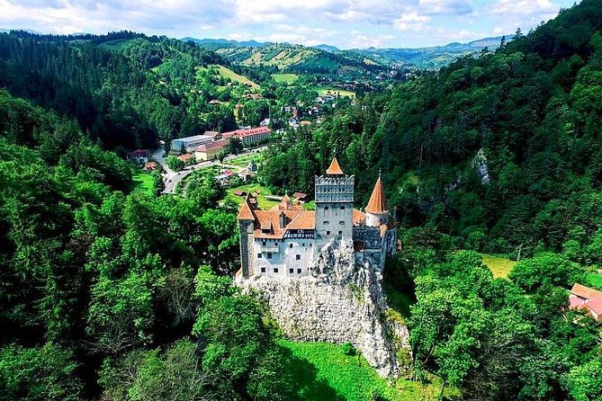 Libearty Bear Sanctuary and Dracula's Castle - Day Tour from Bucharest - Who will enjoy this day most