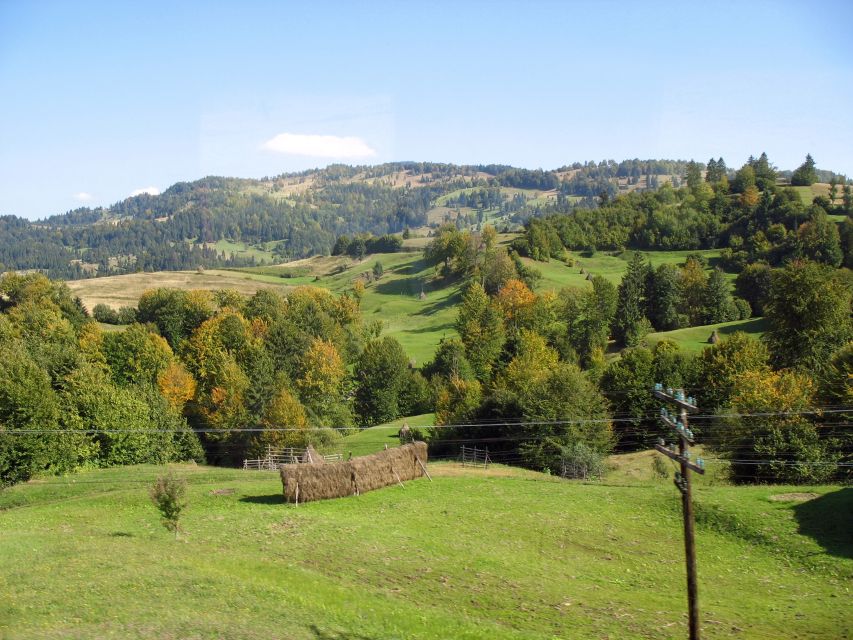 Maramures: 2 Days in Rural Romania - Meeting a local artist over a traditional lunch