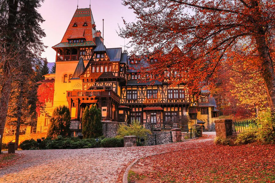Minivan 8 Places : Dracula Castle, Peles, & Brasov Day Tour - Guide quality and the small-group advantage