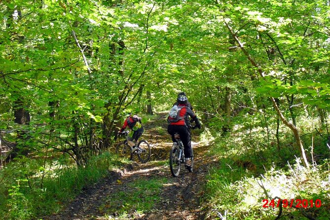 Mountain Bike Day Tour around Brasov - Why ride the hills instead of touring another church?