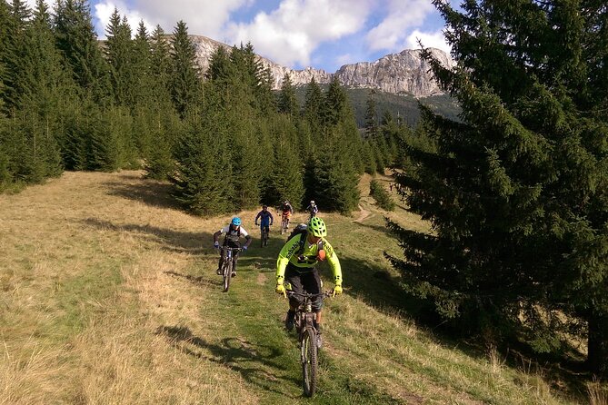 Mountain Bike Day Tour around Brasov - What the downhill route toward Brasov feels like