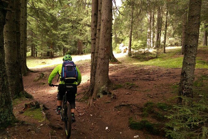 Mountain Bike Day Tour around Brasov - Is $51.14 a fair price?