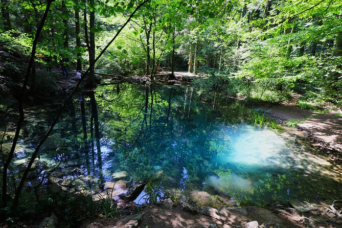 Nera Gorge National Park - Private Day Tour from Timisoara - Key points before you book