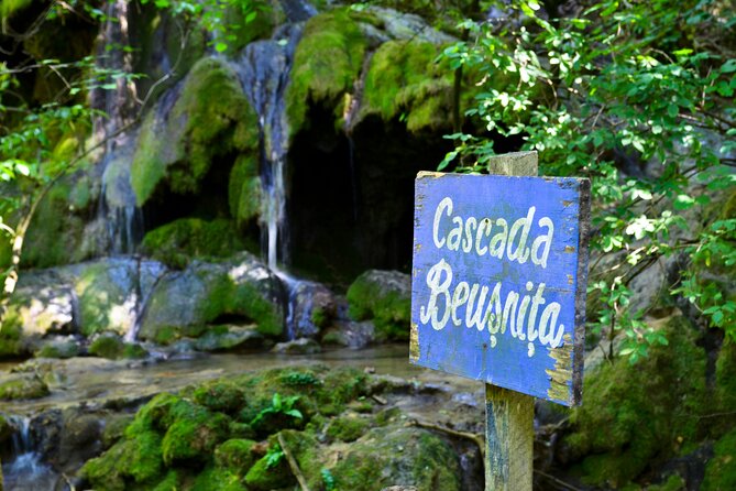 Nera Gorge National Park - Private Day Tour from Timisoara - Why Nera Gorge makes a worthwhile day trip