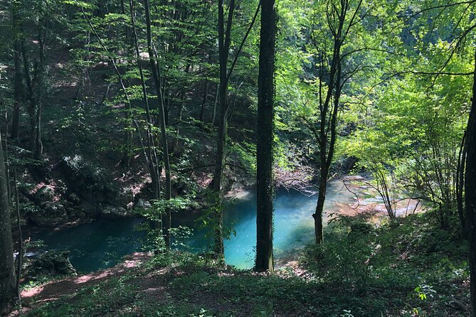 Nera Gorge National Park - Private Day Tour from Timisoara - Ochiul Beiului Lake, the day’s blue-green prize